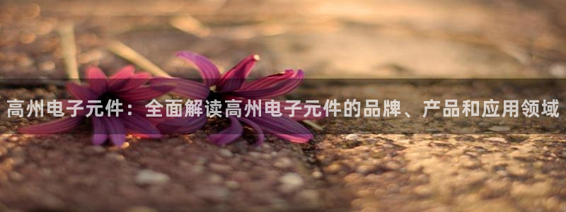 pg电子官方直营网址是什么