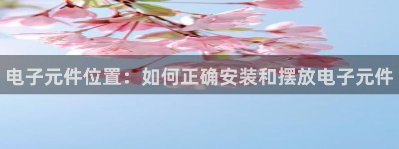 pg模拟器在线试玩网址：电子元件位置：如何正确安装和摆放电子元件