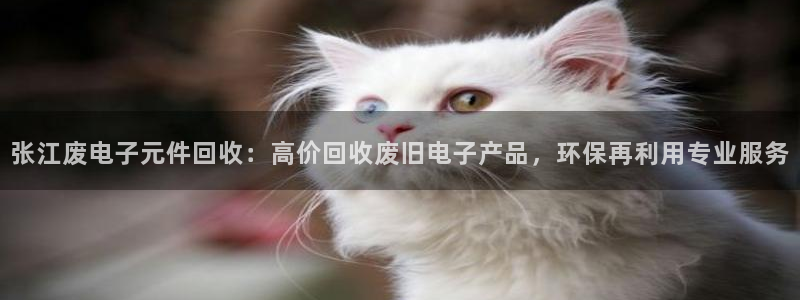 免费pg电子游戏：张江废电子元件回收：高价回收废旧电子产品，环保再利用专业服务