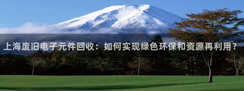 pg模拟器在线试玩网站：上海废旧电子元件回收：如何实现绿色环保和资源再利用？