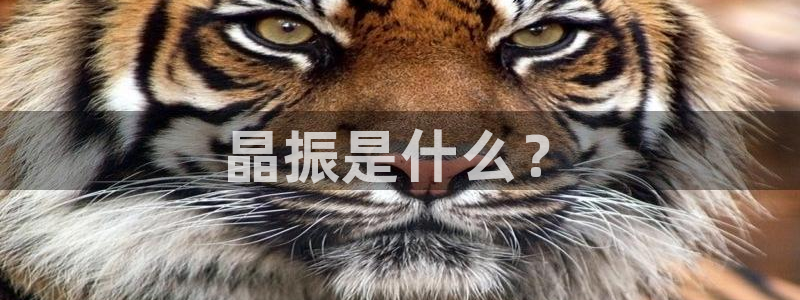 PG麻将胡了模拟器网：晶振是什么？