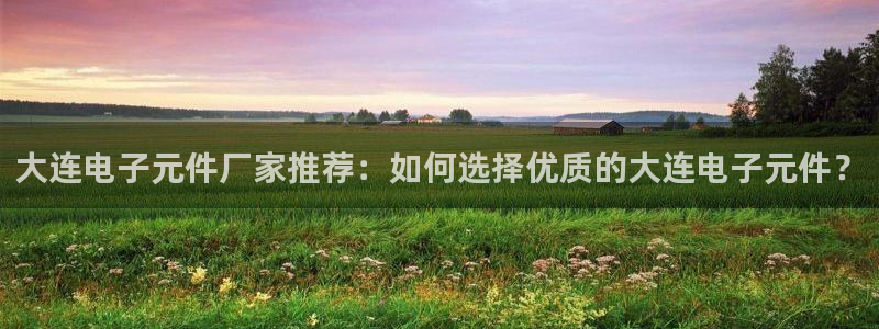 pg电子模拟器试玩在线：大连电子元件厂家推荐：如何选择优质的大连电子元件？