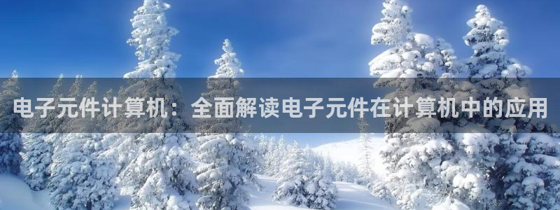 pg电子游戏官方网站在线观看：电子元件计算机：全面解读电子元件在计算机中的应用