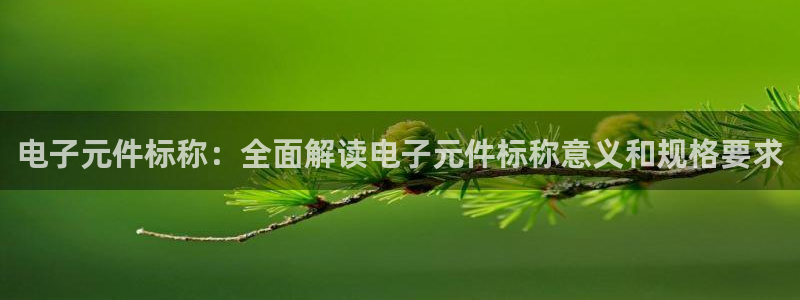 pg电子平台官方网站是什么