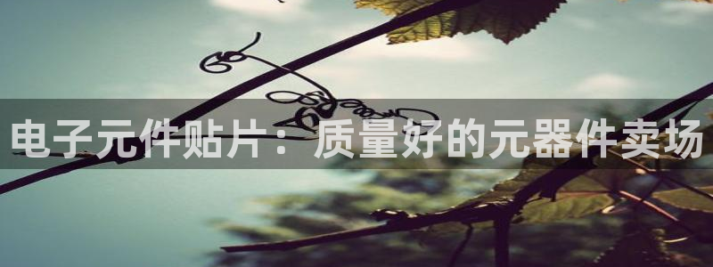 pg电子开挂神器：电子元件贴片：质量好的元器件卖场