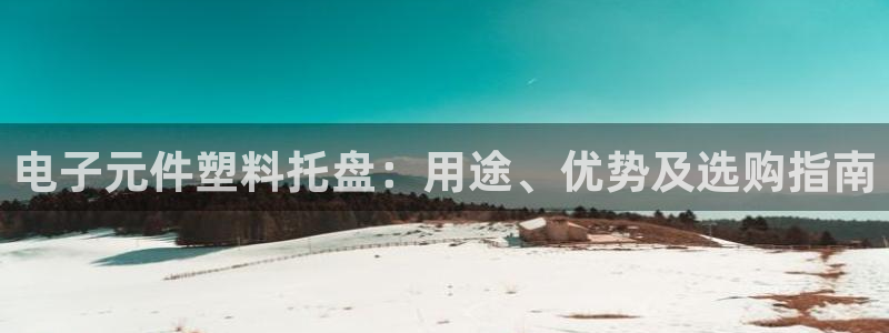 pg电子黑科技：电子元件塑料托盘：用途、优势及选购指南