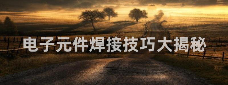 pg电子模拟器网站多少G