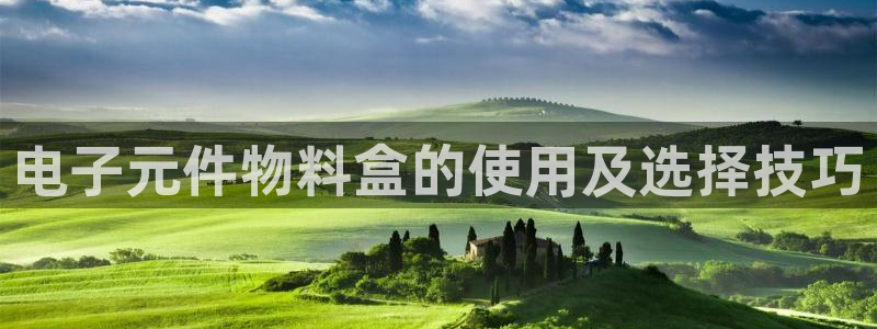 pg电子游戏辅助