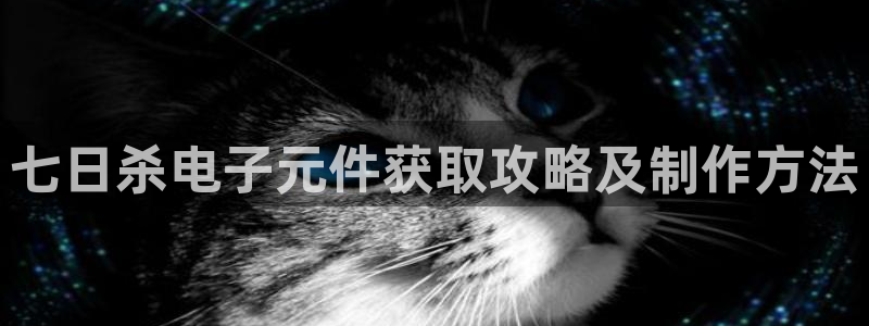 pg电子是哪个国家的品牌