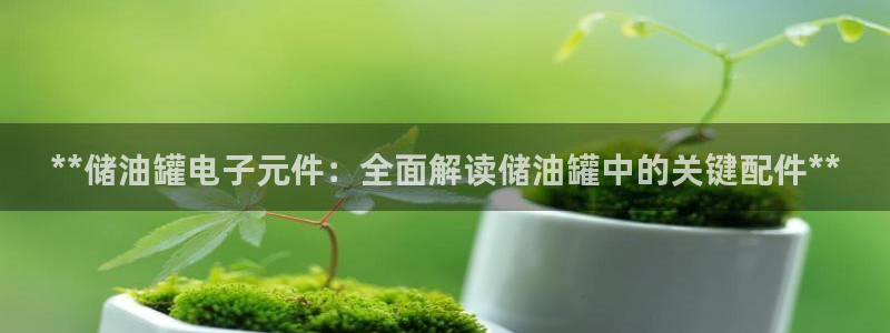 pg电子模拟器有声音吗