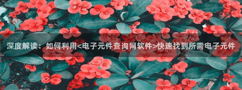 pg电子有官方网站买吗