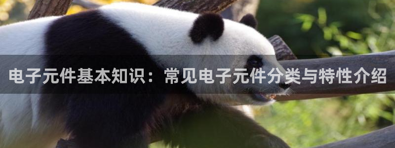 电子pg游戏官网有跳槽彩金吗