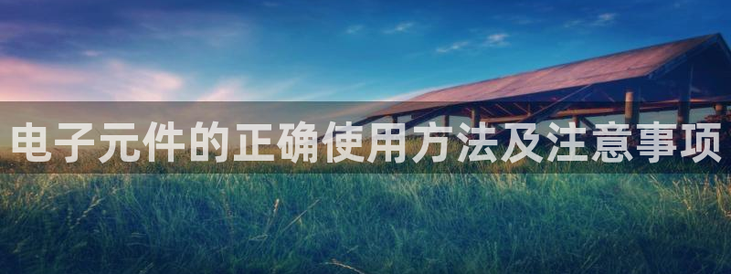 pg电子官方网站试玩