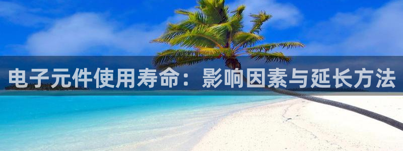 pg电子有官方网站吗试玩