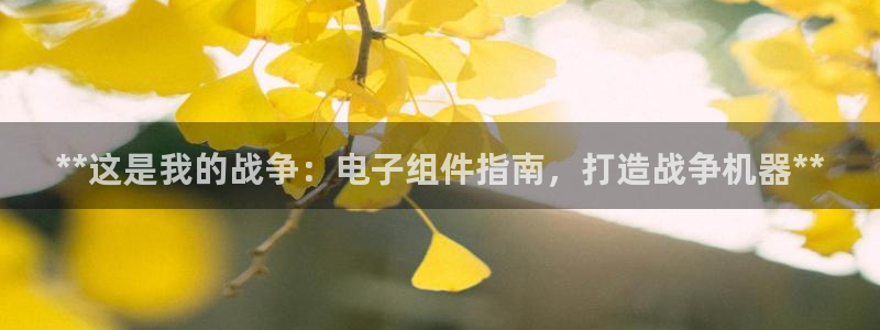 pg电子游戏注册