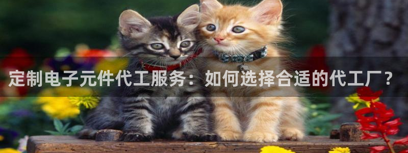 pg电子logo图片