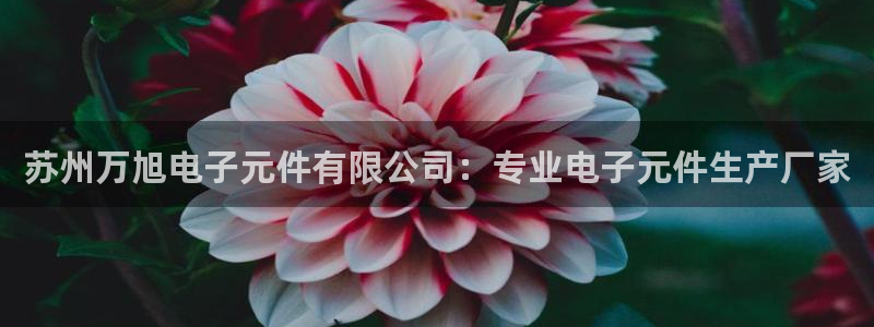 pg电子公司