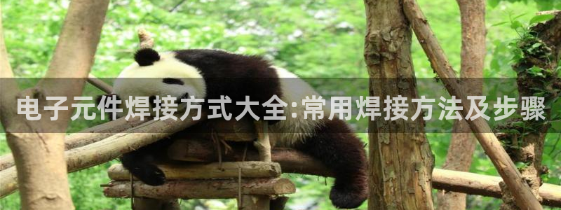 PG电子游戏麻将胡了网址
