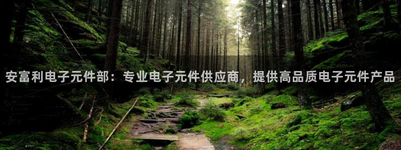 pg电子游戏注册：安富利电子元件部：专业电子元件供应商，提供高品质电子元件产品