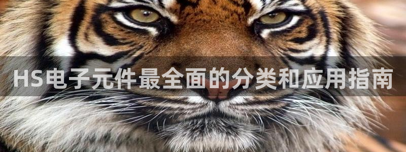 pg电子公司：HS电子元件最全面的分类和应用指南