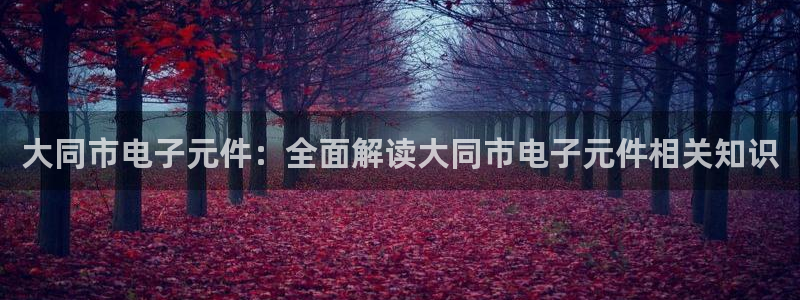 pg电子平台·(中国)游戏平台