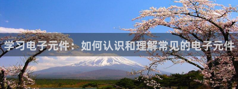 PG电子模拟器网站