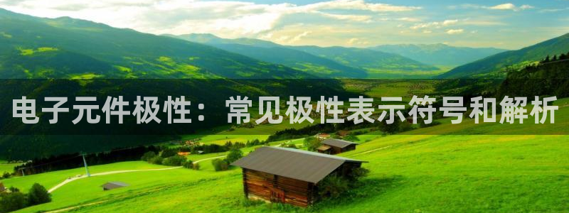 pg电子平台加盟