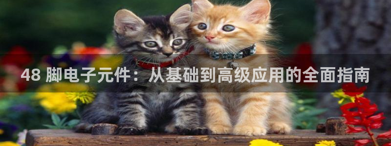 pg电子官方电话
