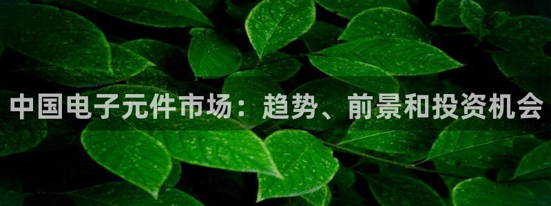 pg电子模拟器电脑版