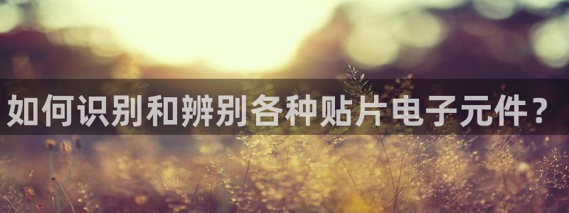 PG电子麻将胡了3与麻将胡了2有什么区别