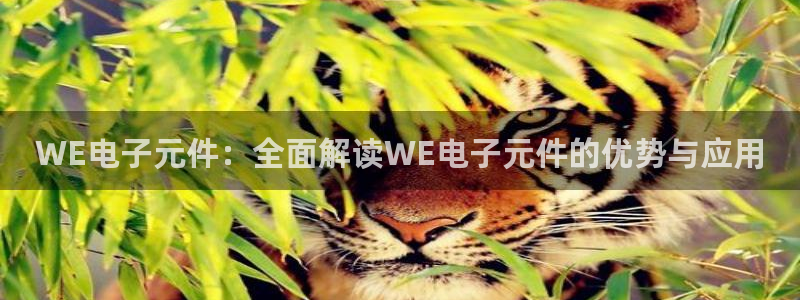 pg电子模拟器戒赌神器