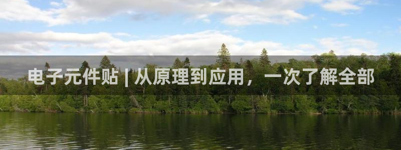 pg电子官网挺ly79丶cn