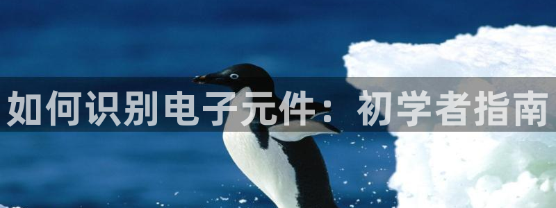 pg电子模拟器买夺宝