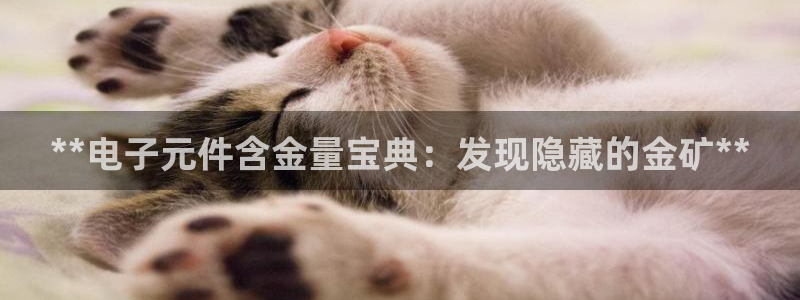 pg电子游戏怎么下载