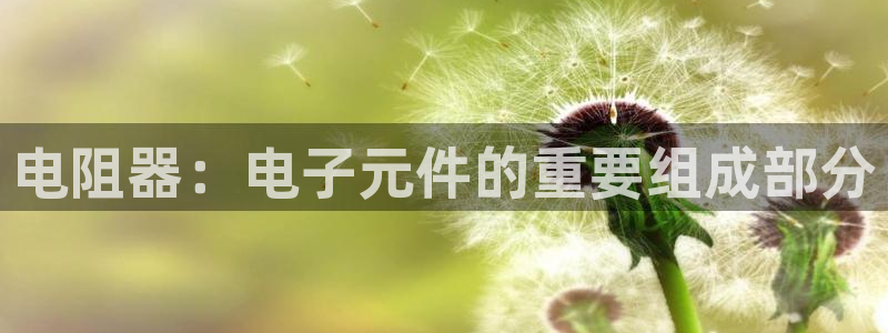 pg电子平台试玩体验怎么样