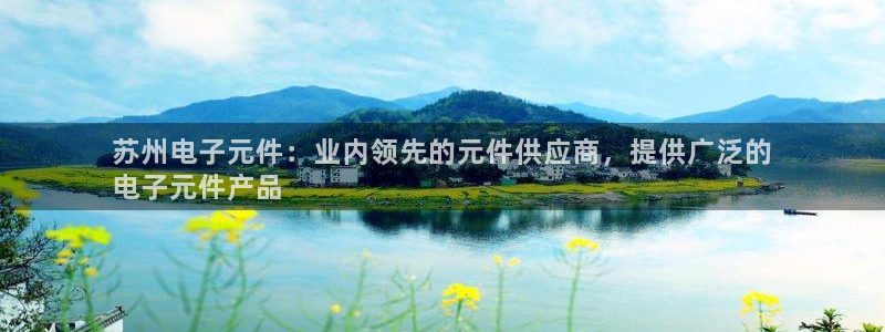 pg电子logo图片：苏州电子元件：业内领先的元件供应商，提供广泛的
电子元件产