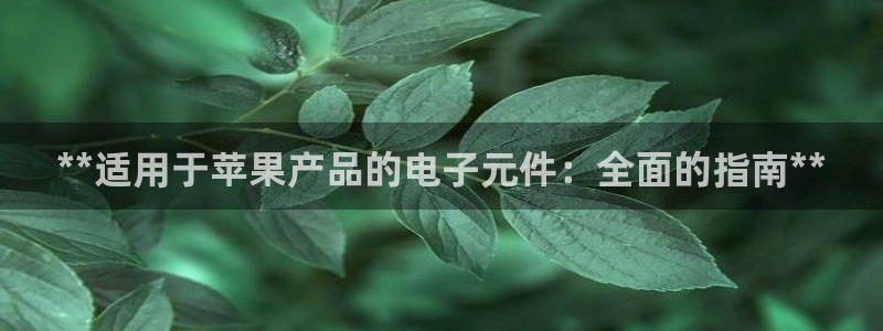pg电子下载网址