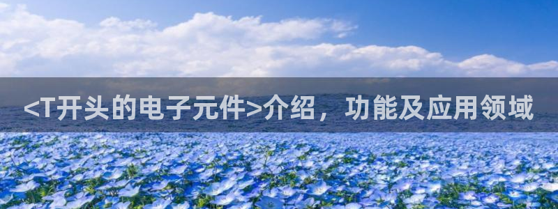 pg电子官网规98db,in