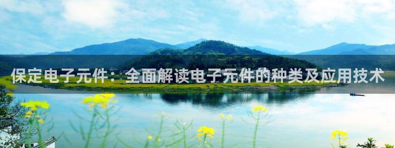 pg电子平台攒l y7 9。cn：保定电子元件：全面解读电子元件的种类及应用技术