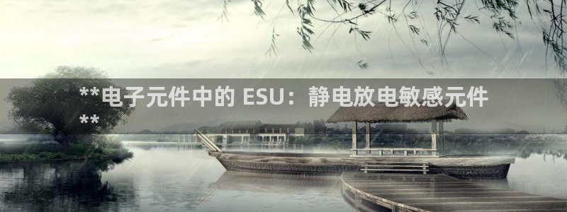 免费pg电子游戏试玩：**电子元件中的 ESU：静电放电敏感元件
**