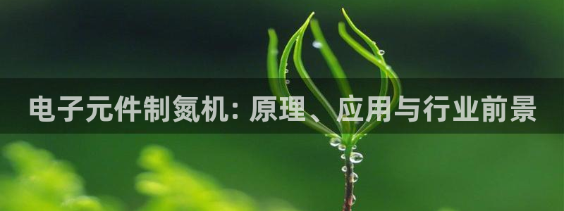pg电子平台网址是多少位数：电子元件制氮机: 原理、应用与行业前景