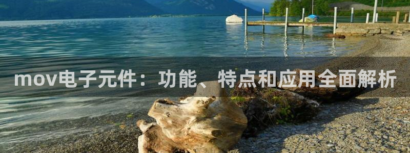 pg电子麻将胡了官方：mov电子元件：功能、特点和应用全面解析