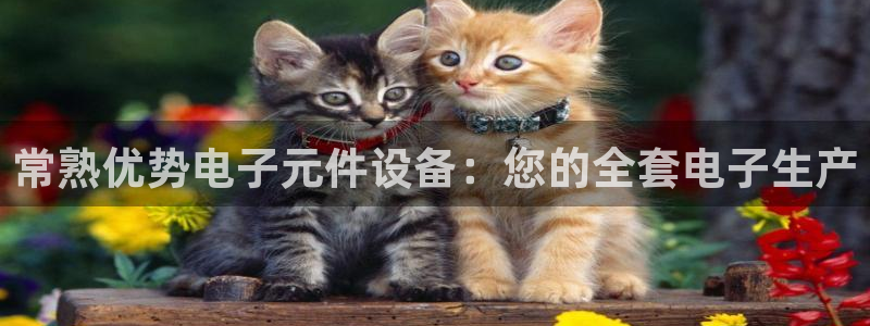 pg电子平台挺ly79丶cn：常熟优势电子元件设备：您的全套电子生产