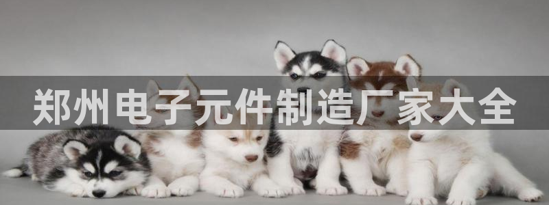 玩pg电子游戏哪个网站好：郑州电子元件制造厂家大全