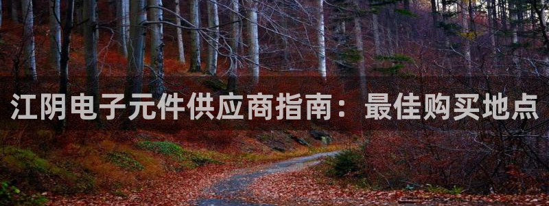 电子pg网站：江阴电子元件供应商指南：最佳购买地点