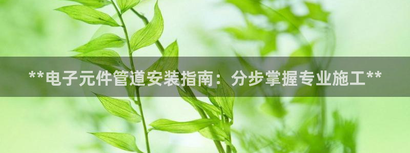 pg电子麻将胡了2不出分