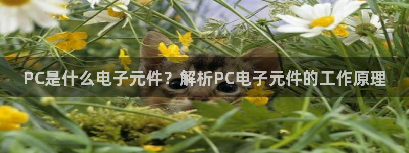 pg电子游戏官网版