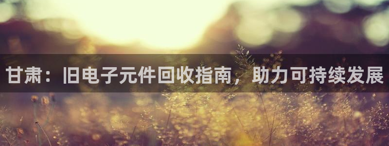 pg电子模拟器可以买
