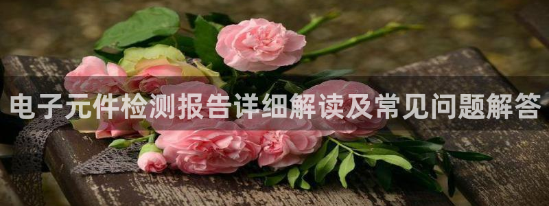 pg电子网页版：电子元件检测报告详细解读及常见问题解答