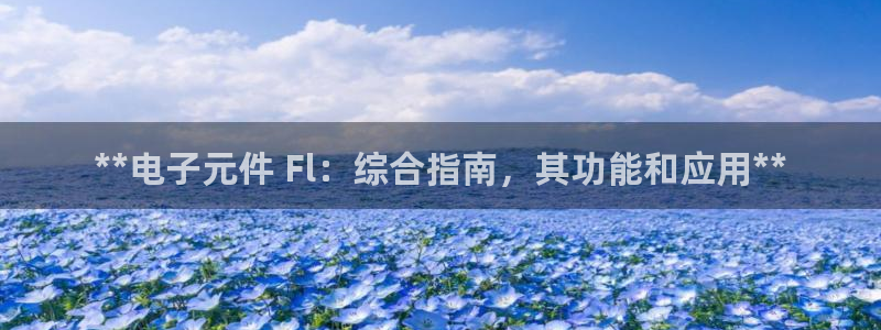 pg电子游戏辅助软件：**电子元件 Fl：综合指南，其功能和应用**